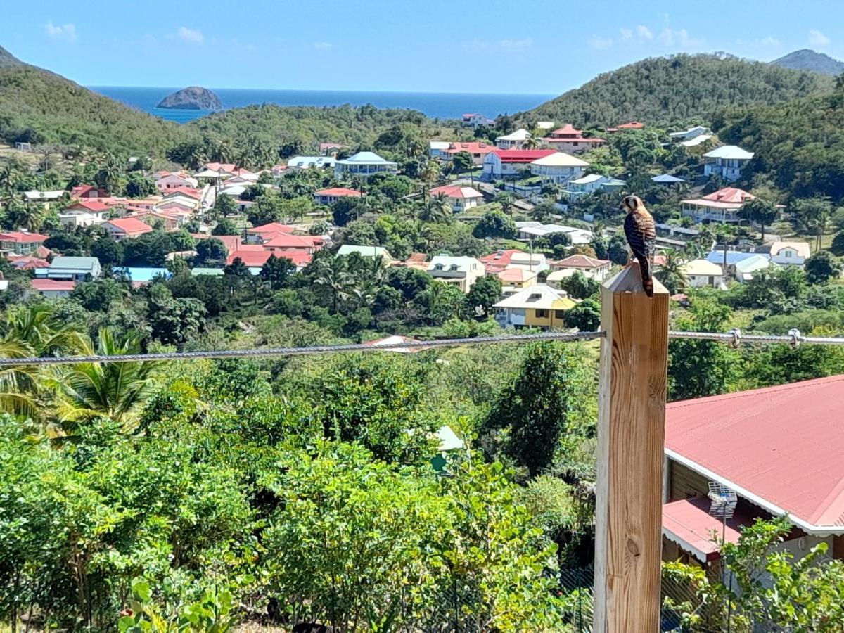 Ti Kaz Anoli Vue Epoustouflante Sur La Baie Villa Terre-de-Bas Kültér fotó