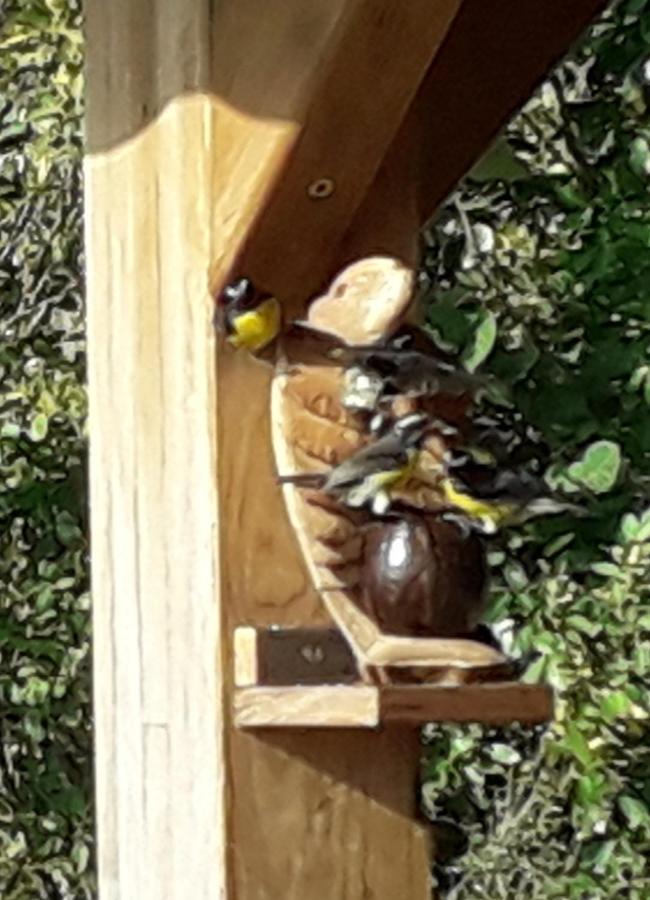 Ti Kaz Anoli Vue Epoustouflante Sur La Baie Villa Terre-de-Bas Kültér fotó